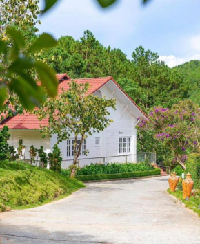 Scent Villa